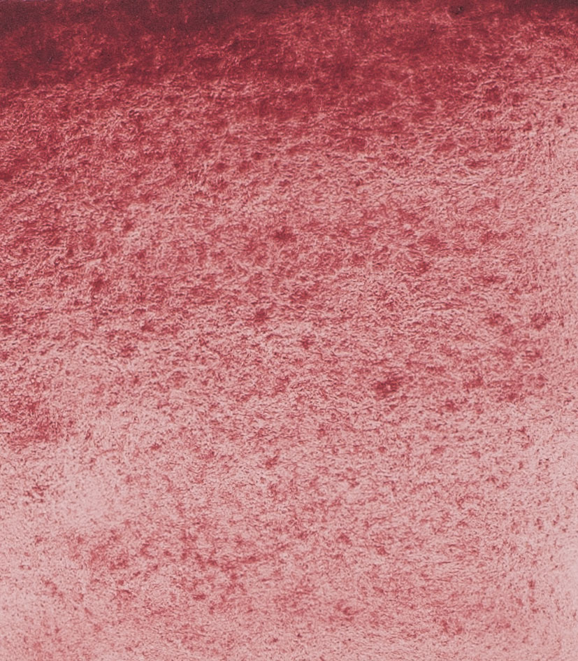Potters Pink