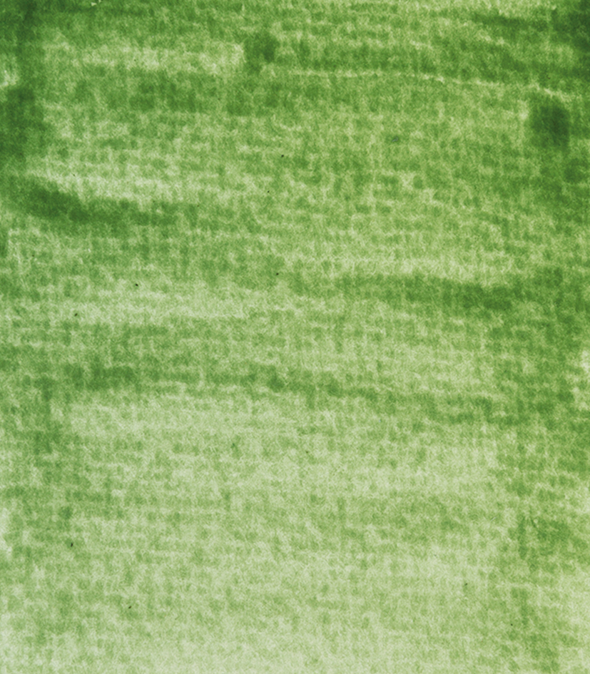 Färbergrün